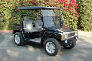 affordable golf cart rental, golf cart rent daytona beach golf cart rental